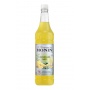 Lemonade Mix bouteille PET 1L