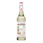 Sirop Gingembre bouteille verre 700ml