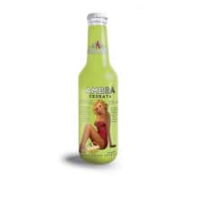 BRIO MATE - MATE MENTHE CITRON 330ML x12 BIO