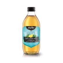 Infusion glacée Menthe Citron bouteille verre 10 x 330ml BIO