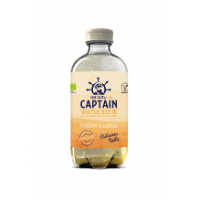 Boisson Kéfir Citron Gingembre bouteille PET 400ml x 12 BIO
