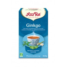 Infusion Ginkgo sachet 17 x 1.8g BIO