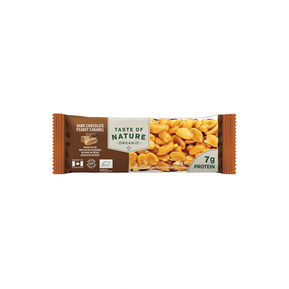 TASTE OF NATURE - BARRE CHOCOLAT PEANUT CARAMEL 40G x16 BIO