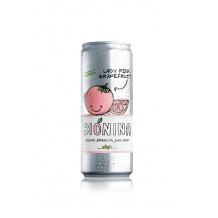 BIONINA - JUS PETILLANT PAMPLEMOUSSE ROSE CANETTE 330ML x24 BIO