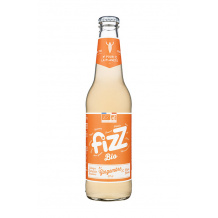 FIZZ - GINGEMBRE BOUTEILLE VERRE 330ML x12 BIO