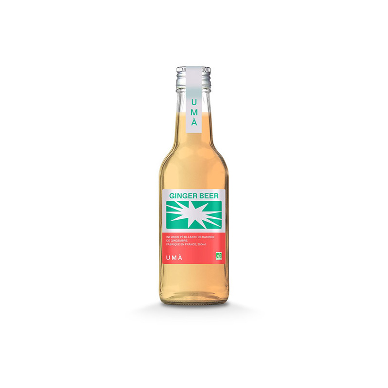 Bière artisanale Sirop De Gingembre - 25 Cl