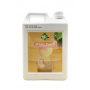 BUBBLE TEA - SIROP PECHE BLANCHE BIDON 2.5KG EXTENSION DDM 24/05/23
