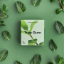 TRUE - CHEWING-GUM MENTHE VERTE SANS SUCRES PRÉSENTOIR 21G x24