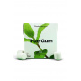 TRUE - CHEWING-GUM MENTHE VERTE SANS SUCRES PRÉSENTOIR 21G x24