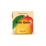 TRUE - CHEWING-GUM MANGUE SANS SUCRES PRÉSENTOIR 21G x24