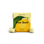 TRUE - CHEWING-GUM CITRON SANS SUCRES PRÉSENTOIR 21G x24