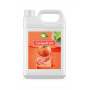 BUBBLE TEA - SIROP PAMPLEMOUSSE RED GRAPEFRUIT BIDON 2.5KG