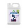 BUBBLE TEA - SIROP MYRTILLE BIDON 2.5KG