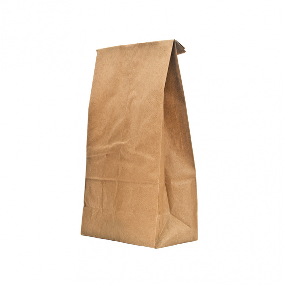 SAC SOS PAPIER KRAFT H.300 x L.220 x P.120 MM x1000 LOGO TRI