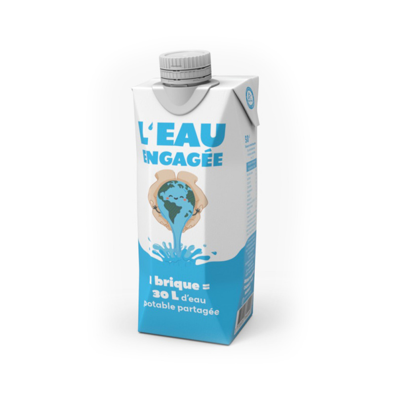 DRINK WATER SHARE WATER - EAU OSMOSEE BRIQUE 500ML x18