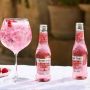 FEVER TREE - PREMIUM FRAMBOISE ET RHUBARBE TONIC WATER BOUTEILLE VERRE 200ML x24