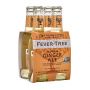 FEVER TREE - PREMIUM GINGER ALE BOUTEILLE VERRE 200ML x24