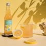 ATIKA - KOMBUCHA CITRON GINGEMBRE 330ML x12 BIO