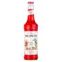 MONIN - SIROP SAVEUR SPRITZ 700ML BOUTEILLE VERRE