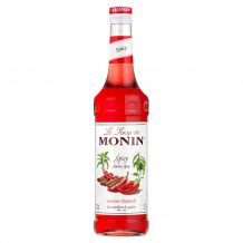 MONIN - SIROP SPICY 700ML BOUTEILLE VERRE