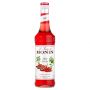 MONIN - SIROP SPICY 700ML BOUTEILLE VERRE