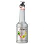 LE FRUIT DE MONIN - RHUBARBE 1L