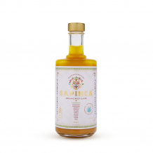 SAPINCA - ROOT ELIXIR GINGEMBRE ET EPICES BOUTEILLE VERRE 495ML BIO