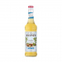 MONIN - NOISETTE SANS SUCRE SIROP 700ML BOUTEILLE VERRE