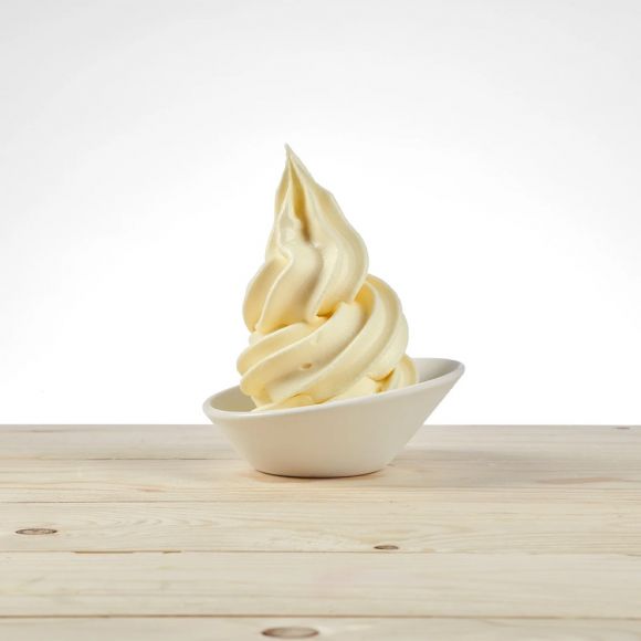 PREGEL - BASE SOFT VANILLE 1.20KG BIO