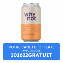 WHY NOT - SODA CRAFT PECHE GINGEMBRE CANETTE 330ML x1 BIO