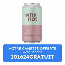 WHY NOT - SODA CRAFT GRENADE CONCOMBRE CANETTE 330ML x1 BIO
