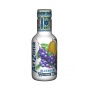 ARIZONA - THE BLANC MYRTILLES 500ML x6