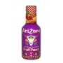 ARIZONA - FRUIT PUNCH JUS MULTIFRUITS 500ML x6