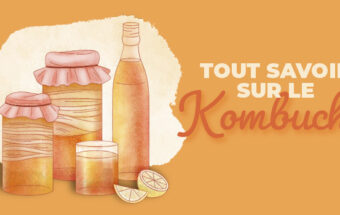 Tout savoir sur le Kombucha