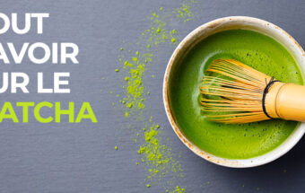 Tout savoir sur le Matcha