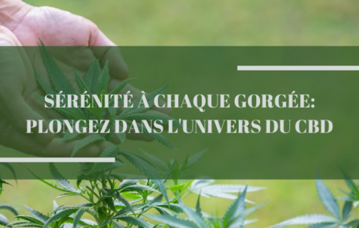 Sérénité à Chaque Gorgée: Plongez Dans l'Univers du CBD