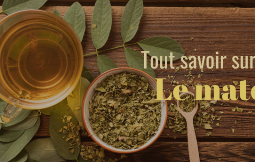 Maté : Tout savoir sur cette infusion énergisante